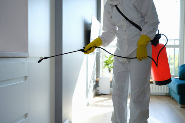 Crawl Space Mold Removal in Chanhassen, MN
