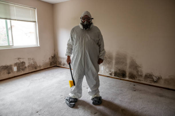 Best Crawl Space Mold Removal  in Chanhassen, MN